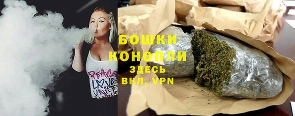 шишки Верхний Тагил