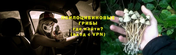 шишки Верхний Тагил