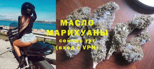 индика Бородино