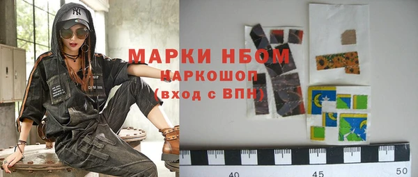 шишки Верхний Тагил